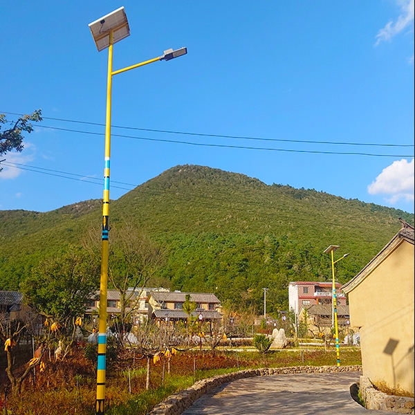 临沧乡村民族特色路灯