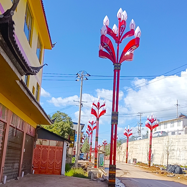 西双版纳道路玉兰灯